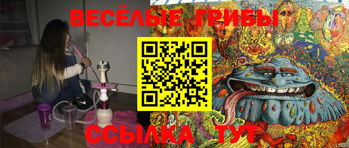 Тихвин  магазин продажи наркотиков  Вход с VPN  Псилоцибиновые грибы Psilocybe 